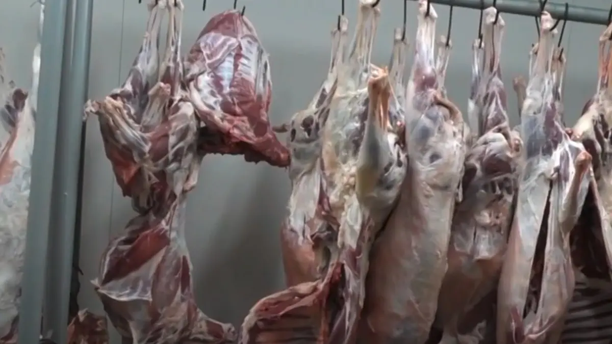Uspješno realizirana akcija prikupljanja i podjele kurbanskog mesa